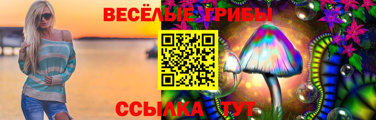 Псилоцибиновые грибы Psilocybe Сорочинск
